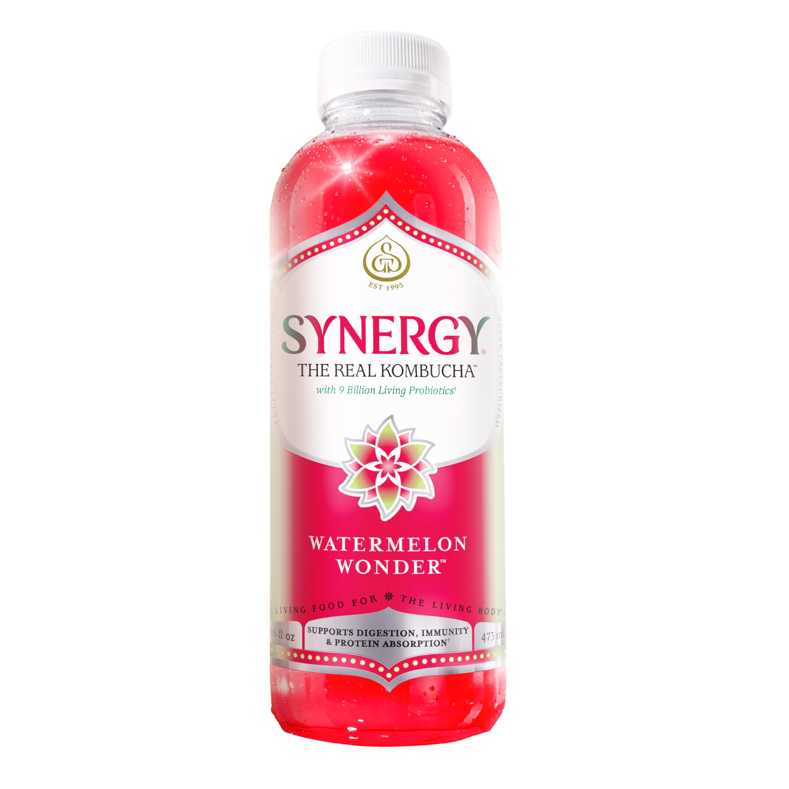 Amazon.com: SYNERGY The Real Kombucha - Watermelon Wonder - 16 fl